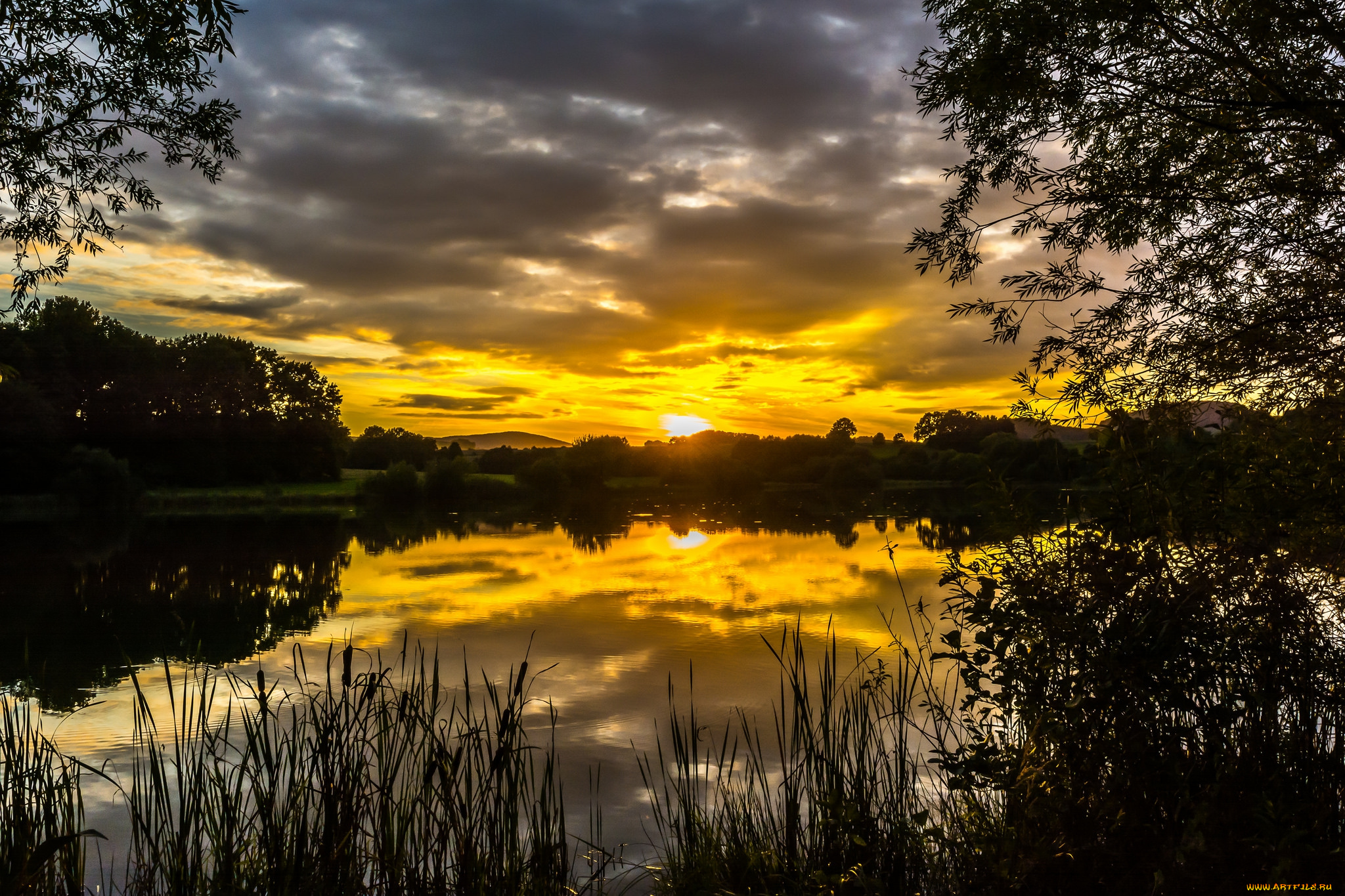 природа, реки, озера, простор