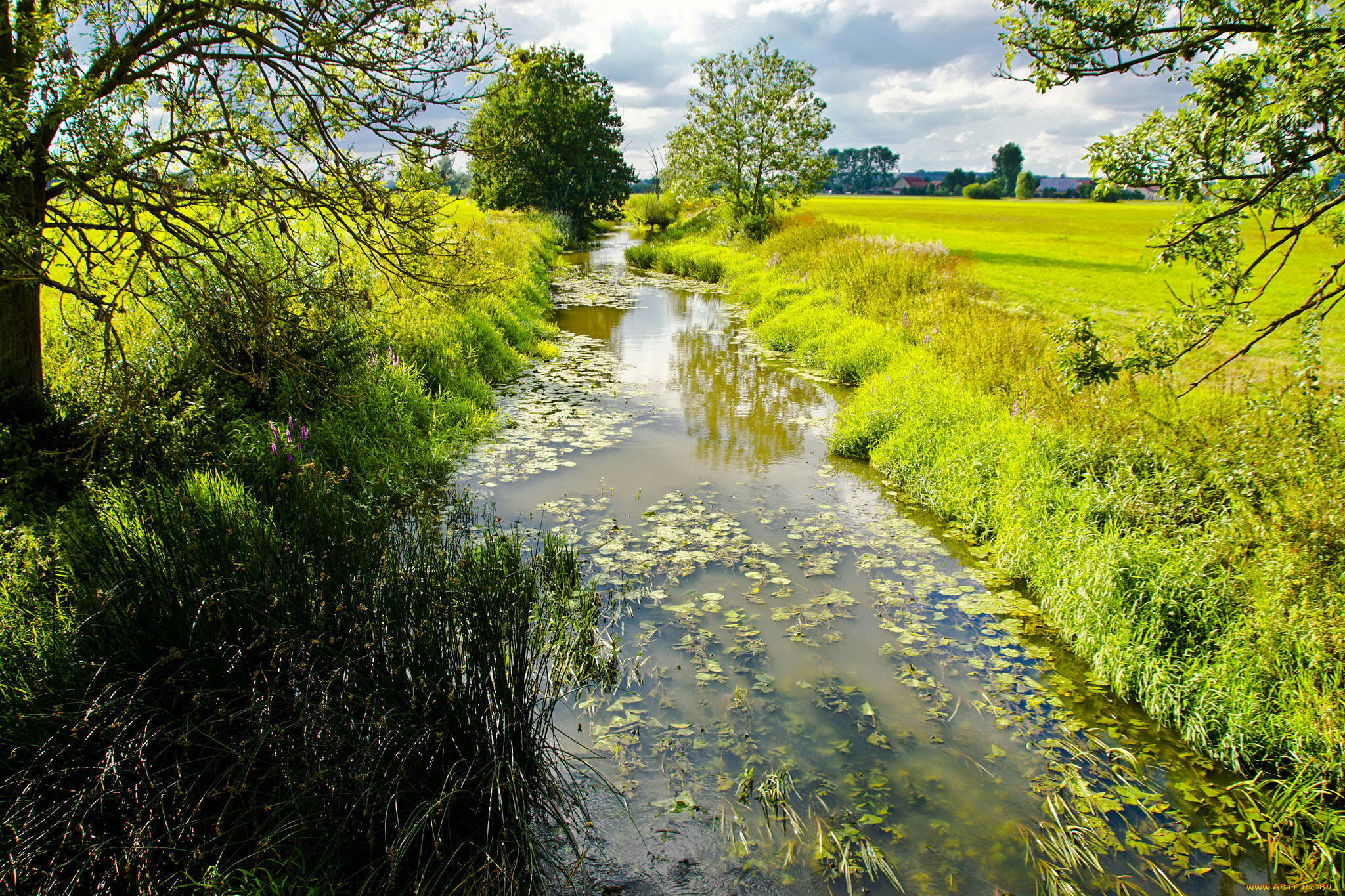 природа, восходы, закаты, простор