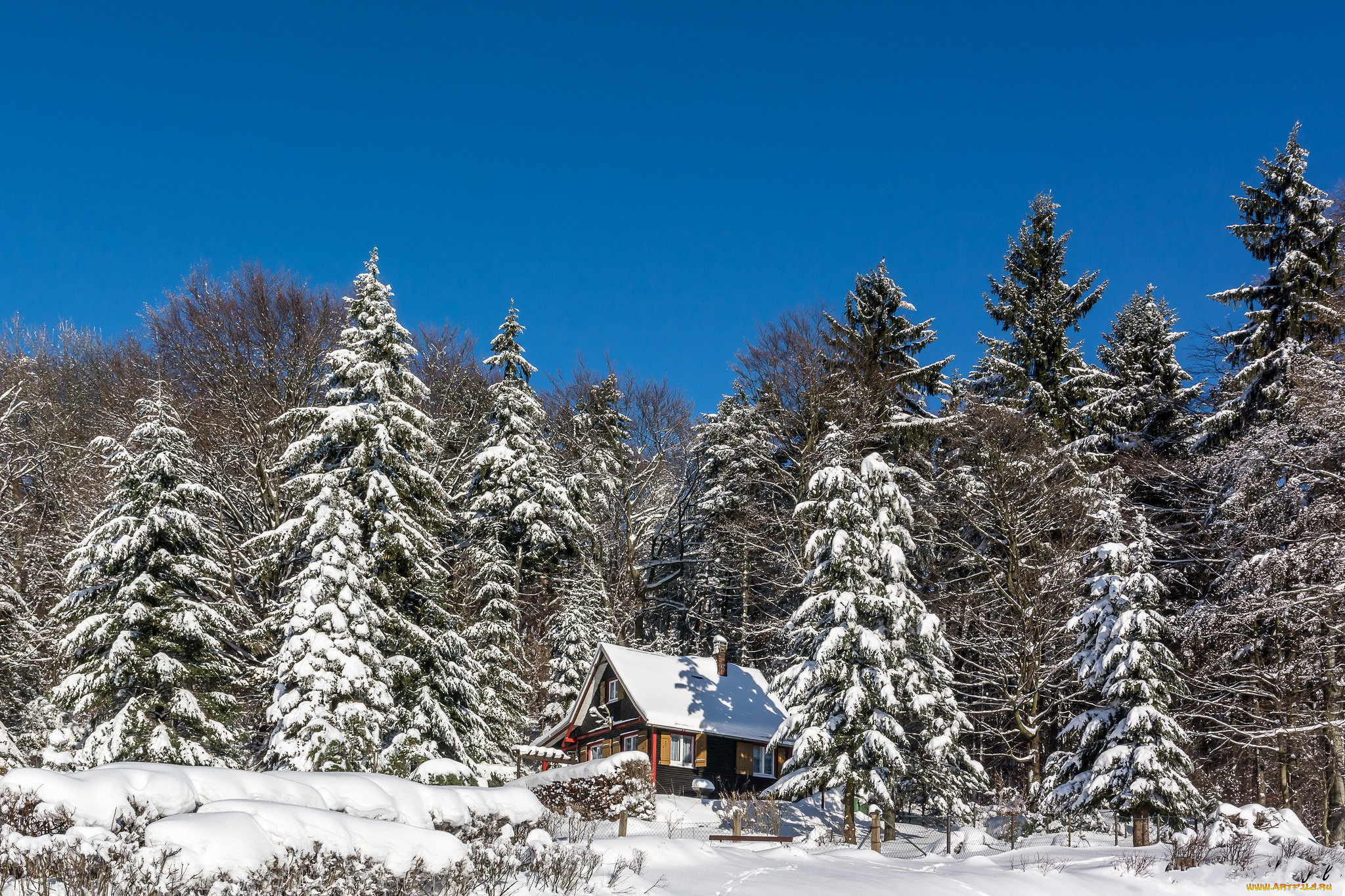 природа, зима, простор