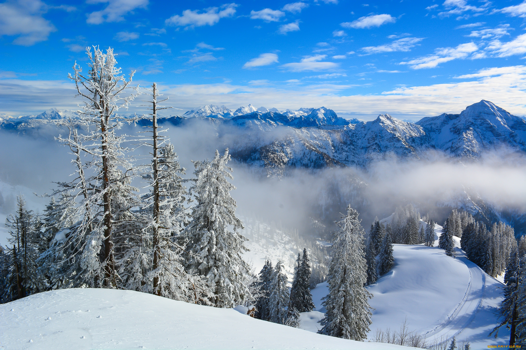 природа, зима, простор