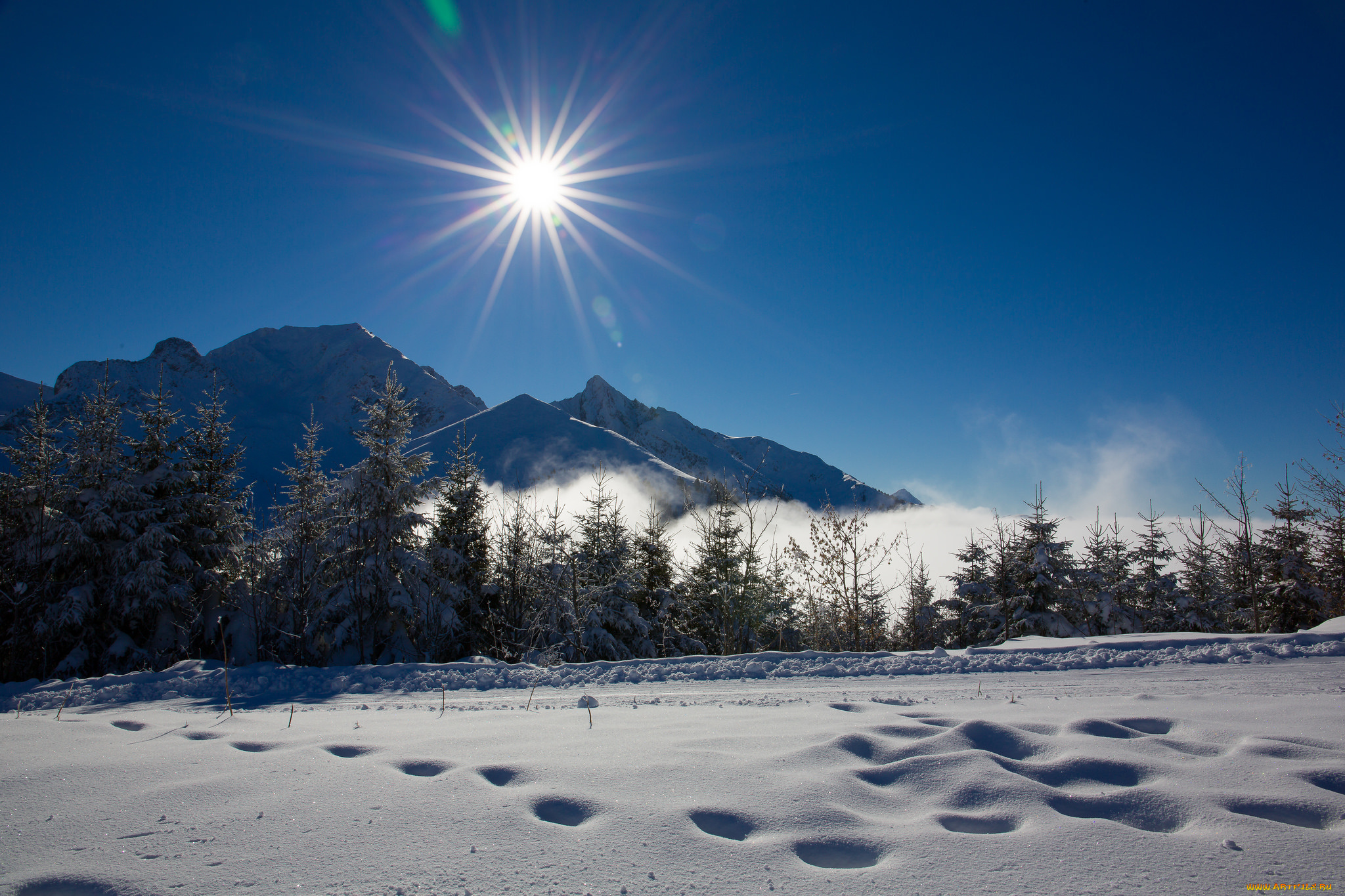 природа, зима, простор