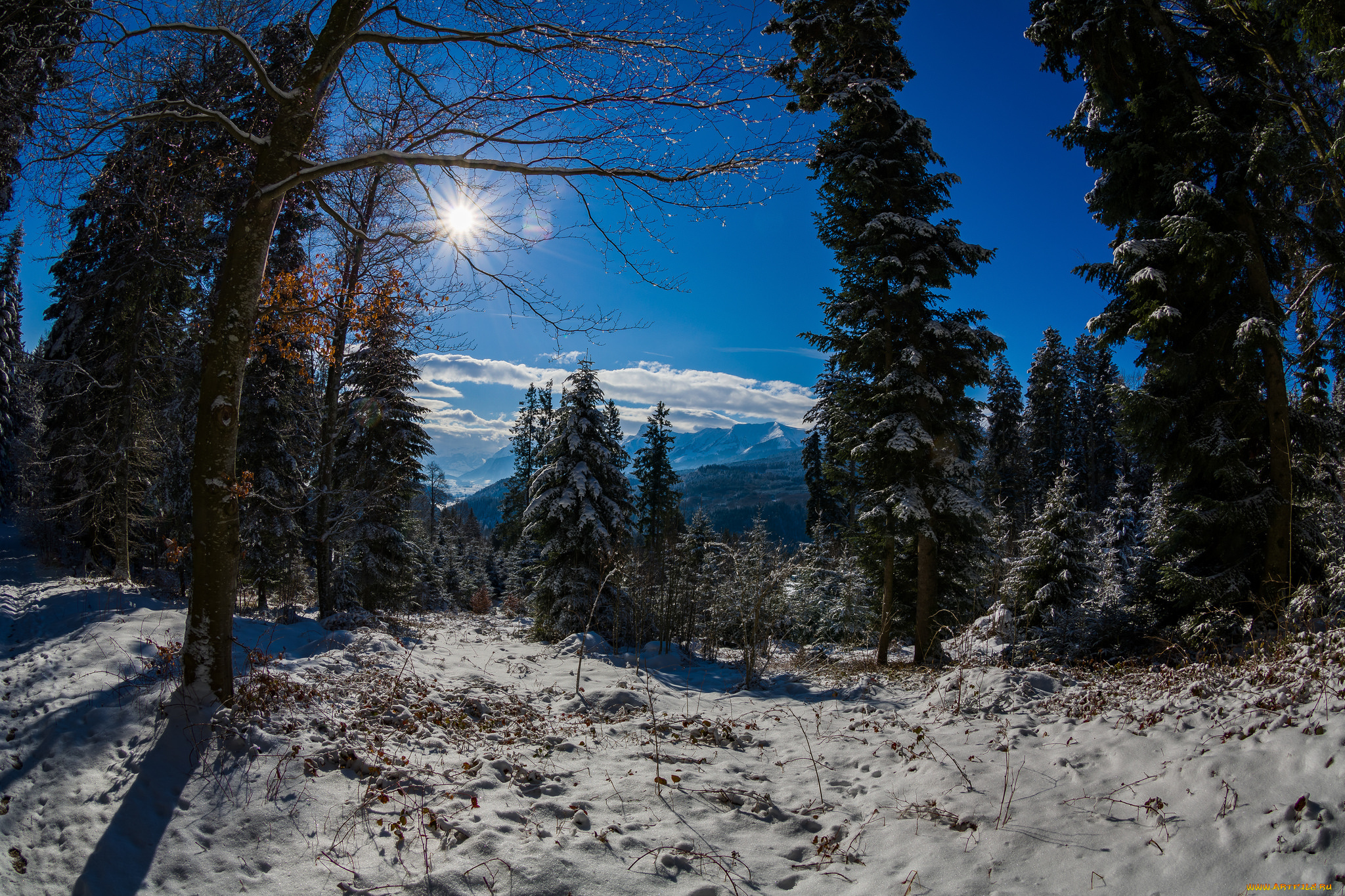 природа, зима, простор