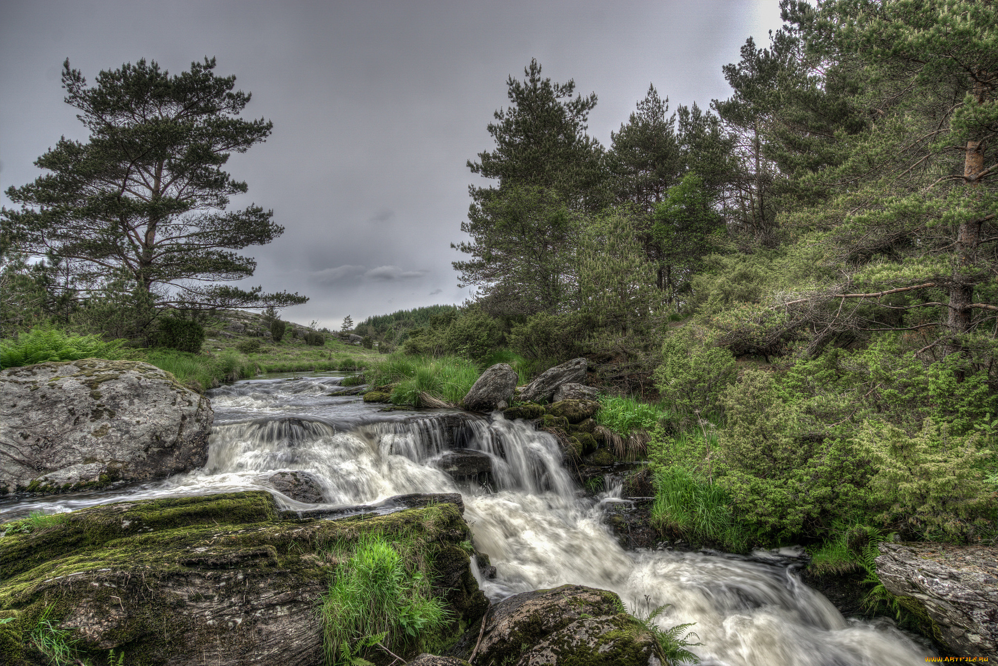 природа, реки, озера, простор