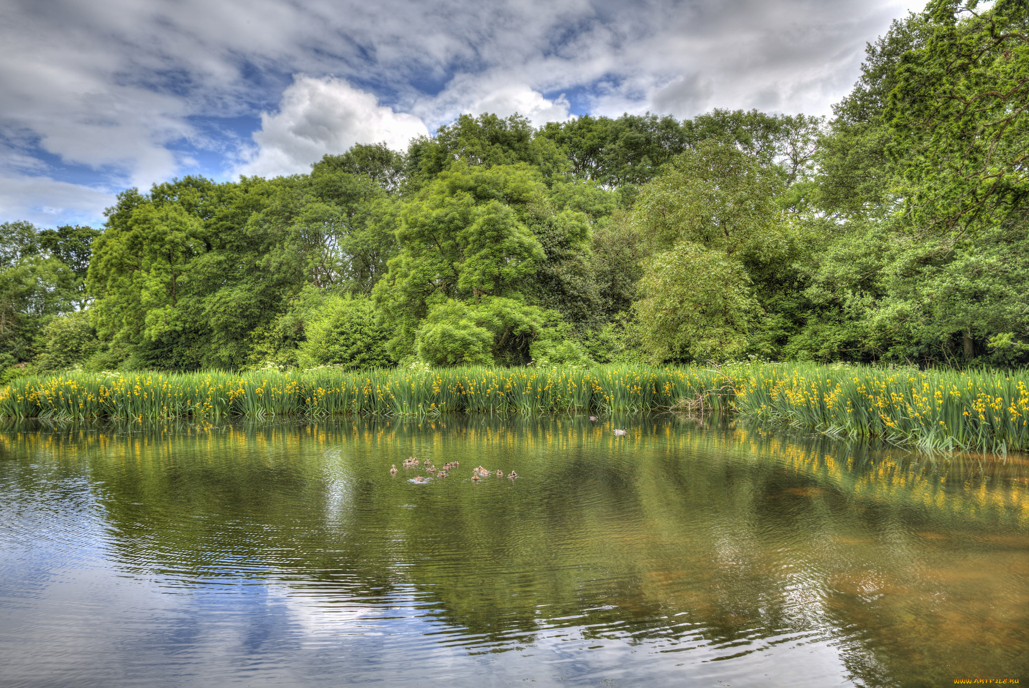 природа, реки, озера, простор