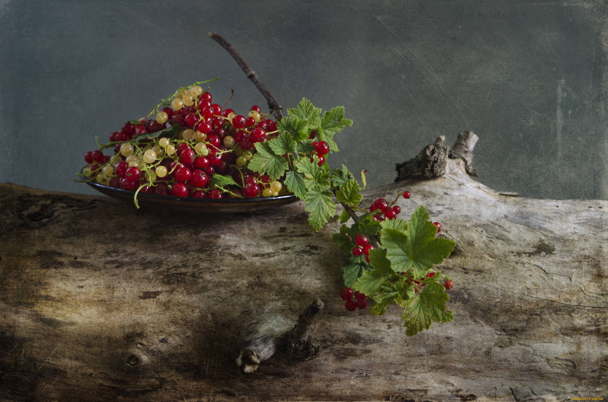 еда, смородина, натюрморт, красная, ветка, смородины, винтаж, ягод, ягоды, светлана, андреянова, порички
