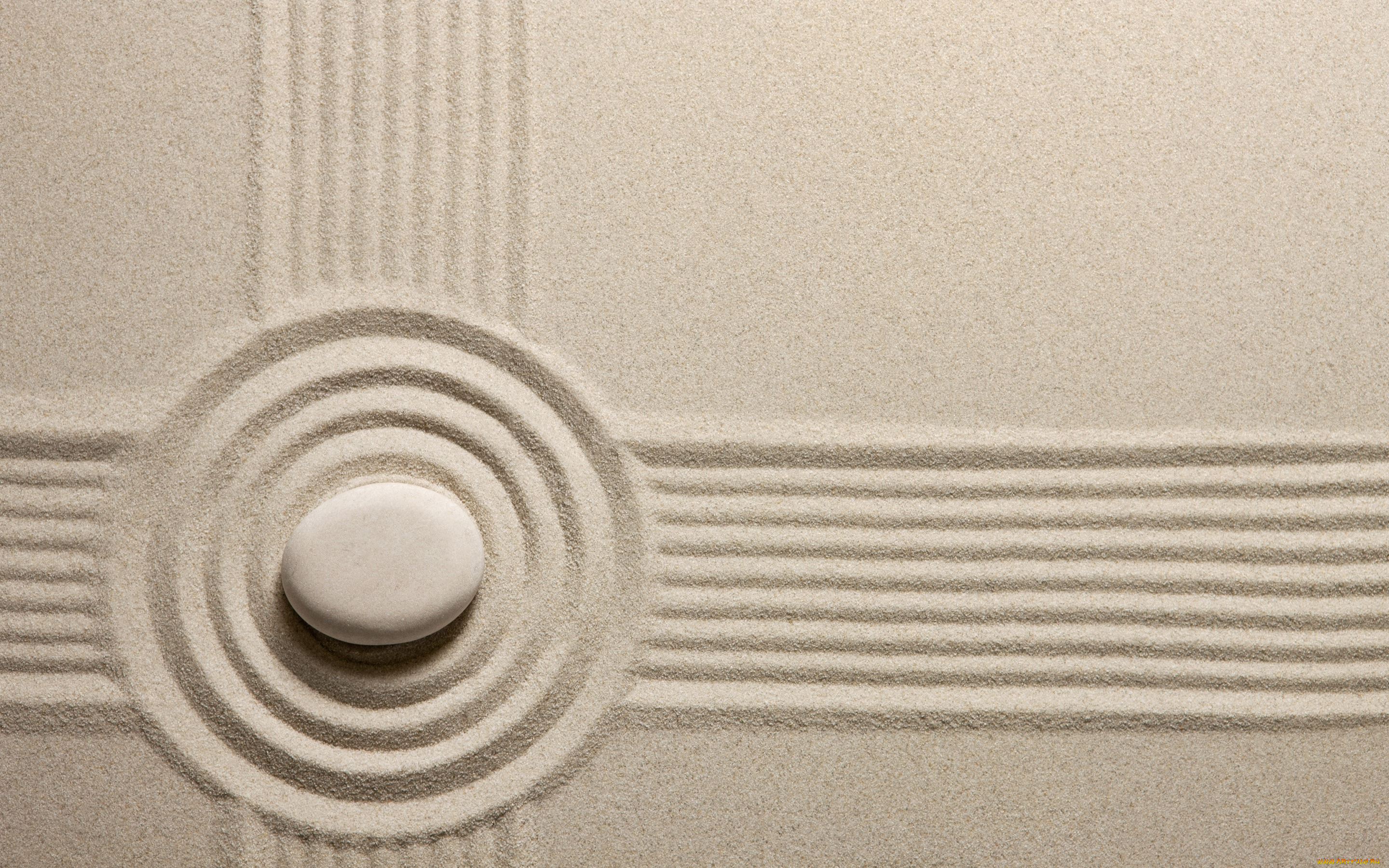 разное, ракушки, , кораллы, , декоративные, и, spa-камни, zen, камни, песок, stone, sand