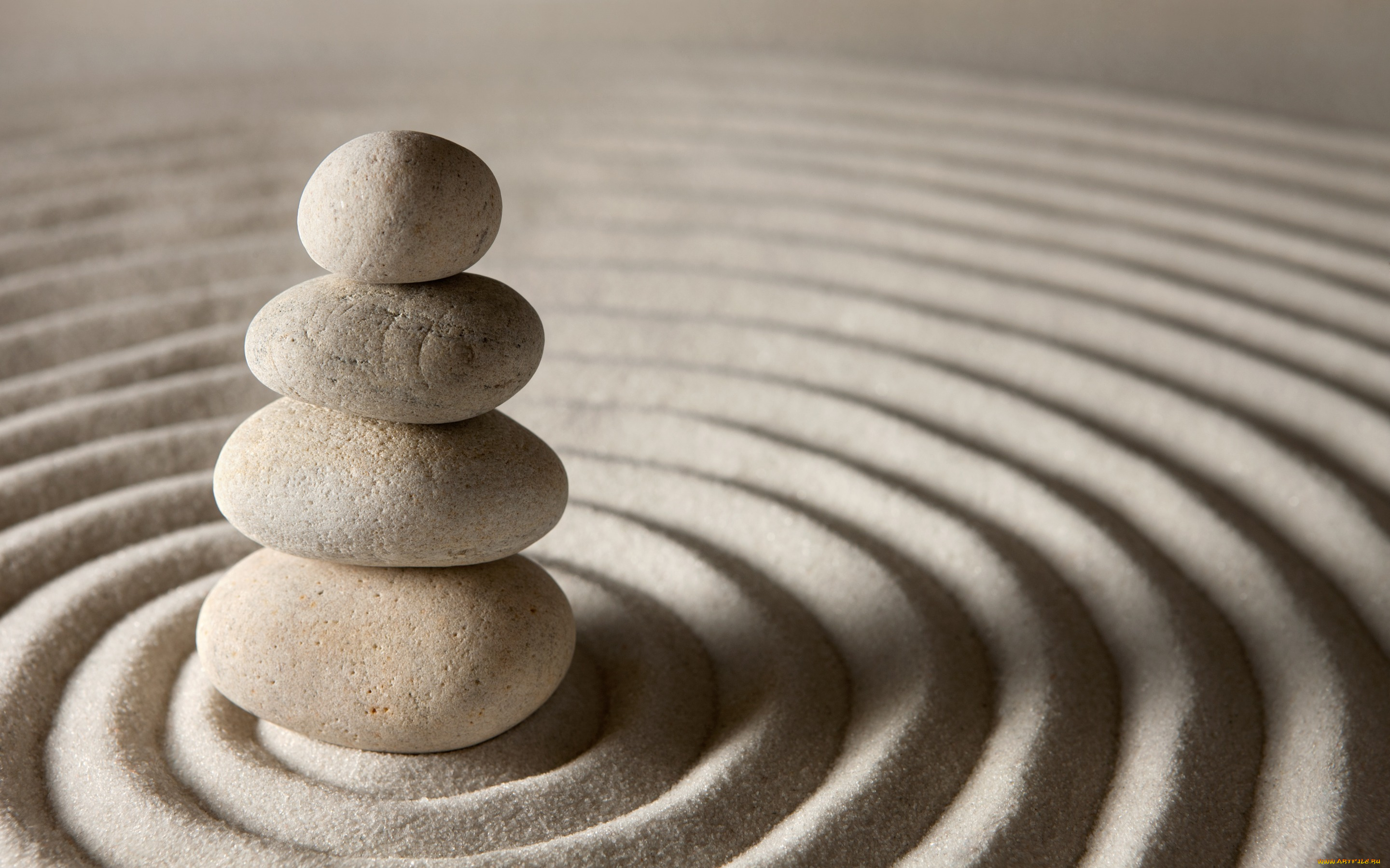 разное, ракушки, , кораллы, , декоративные, и, spa-камни, stone, sand, камни, zen, песок