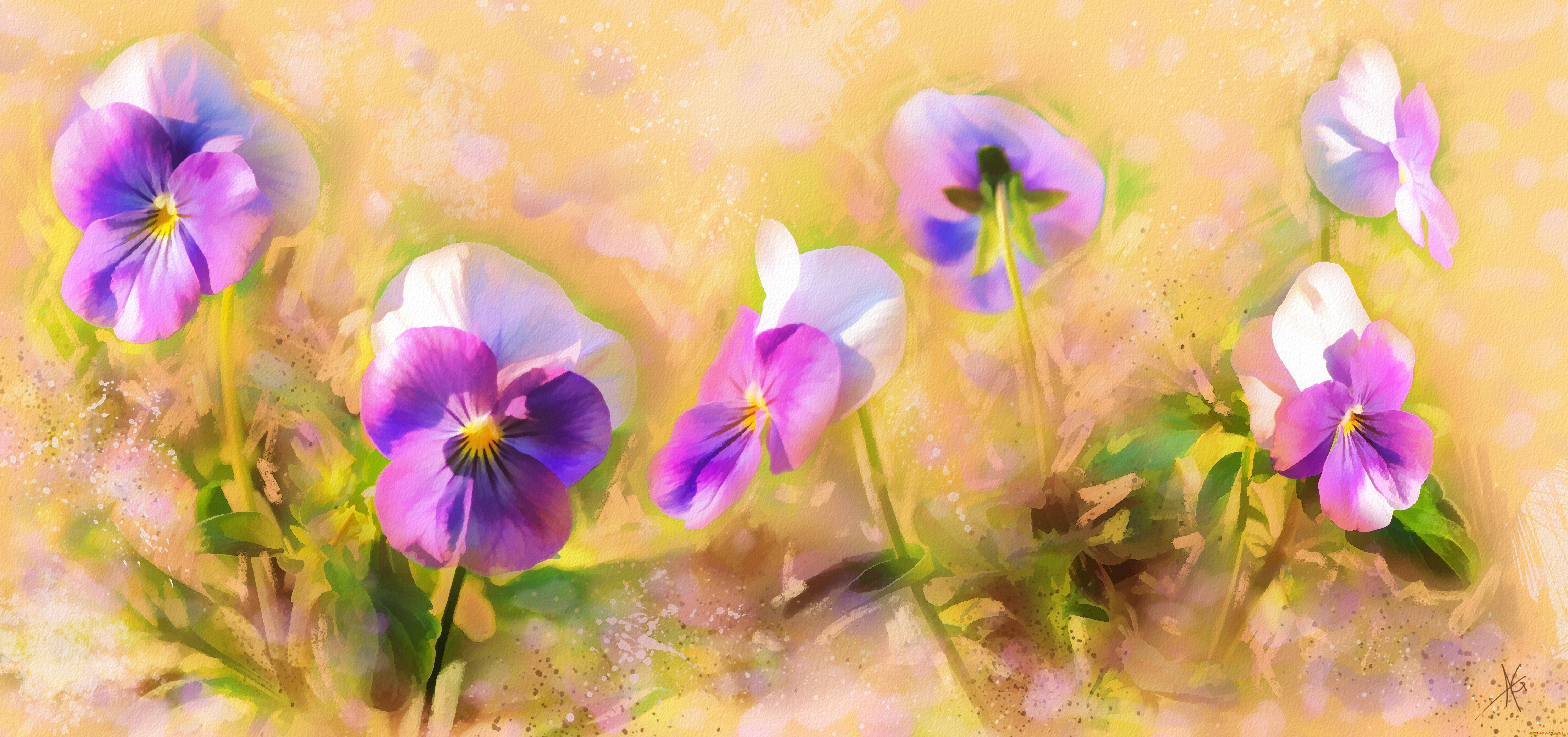 рисованное, цветы, анютины, глазки, фиалки, художественная, графика