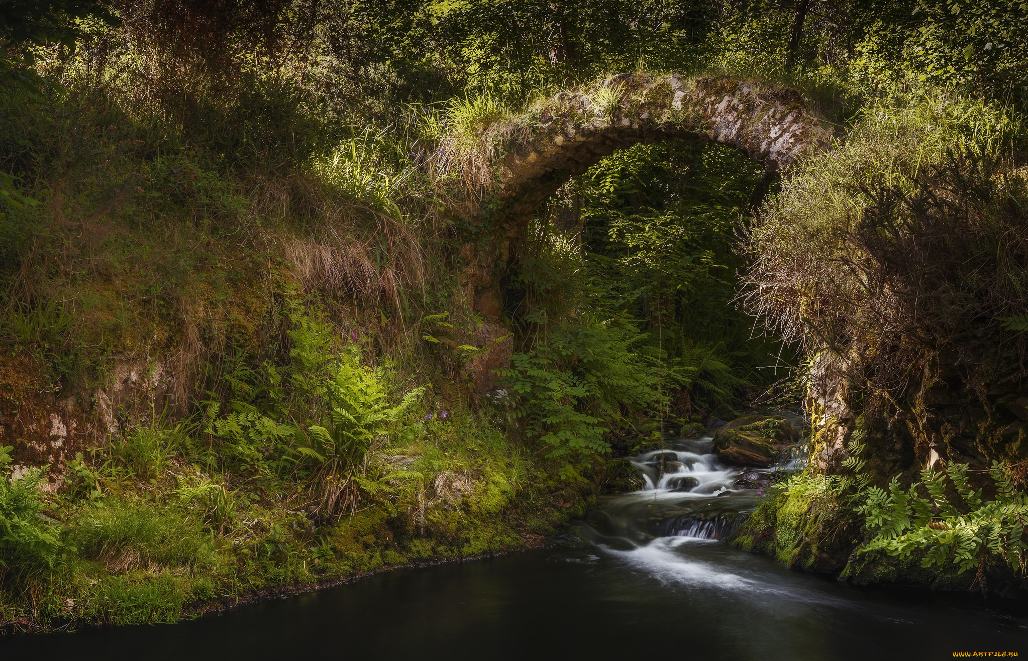 природа, реки, озера, простор