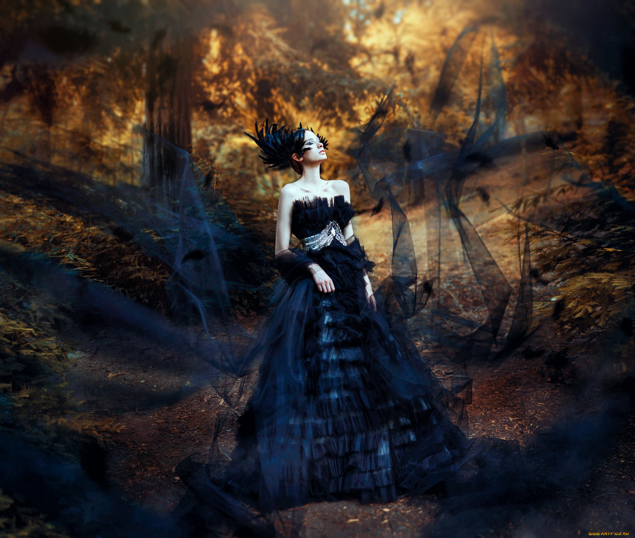 девушки, -unsort, , креатив, лес, black, swan, aileen, zygier, ronny, garcia, модель, платье, стиль