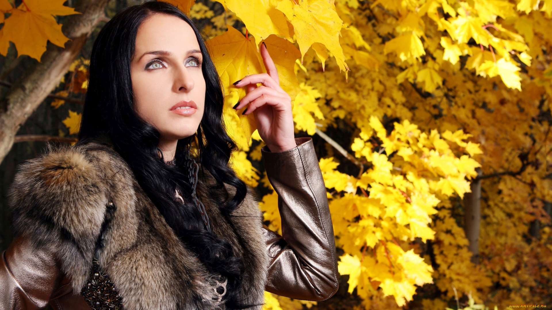 девушки, -, брюнетки, , шатенки, осень, желтые, листья, брюнетка, мех