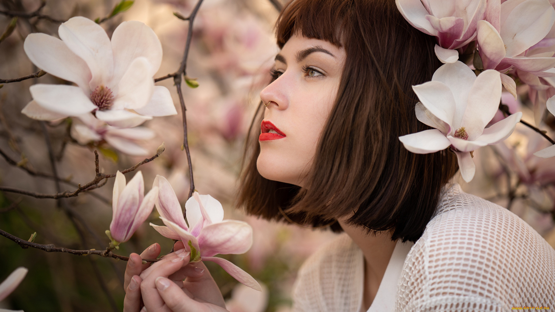 девушки, -, брюнетки, , шатенки, профиль, магнолия, katharina