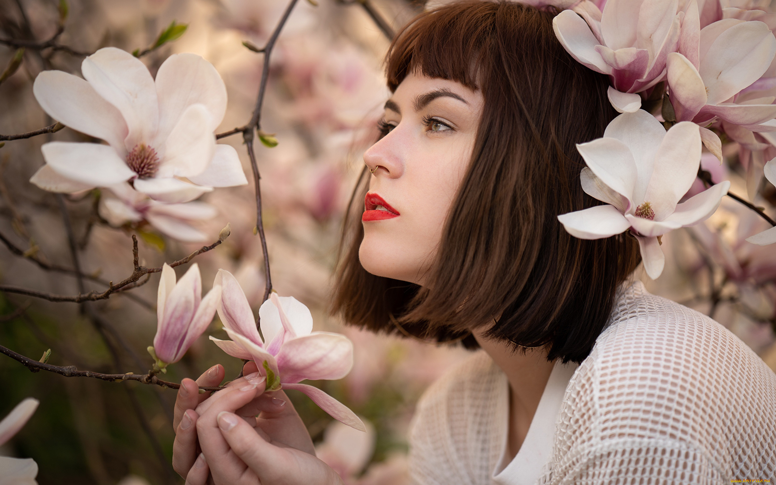 девушки, -, брюнетки, , шатенки, профиль, магнолия, katharina