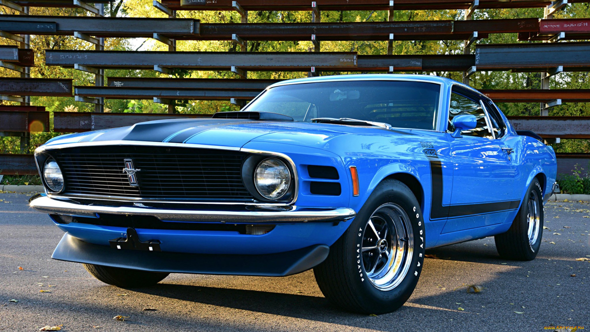 автомобили, mustang