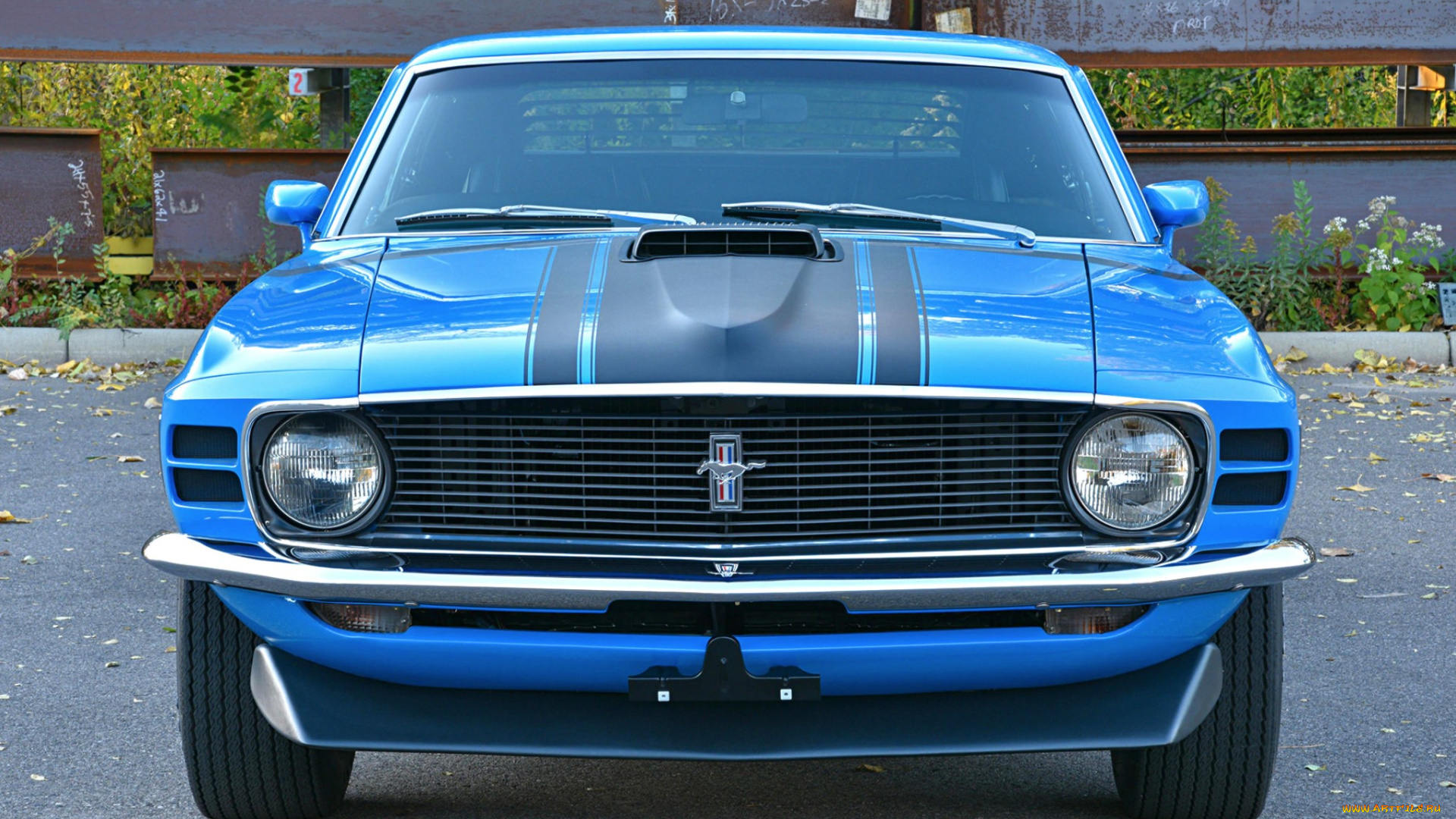 автомобили, mustang