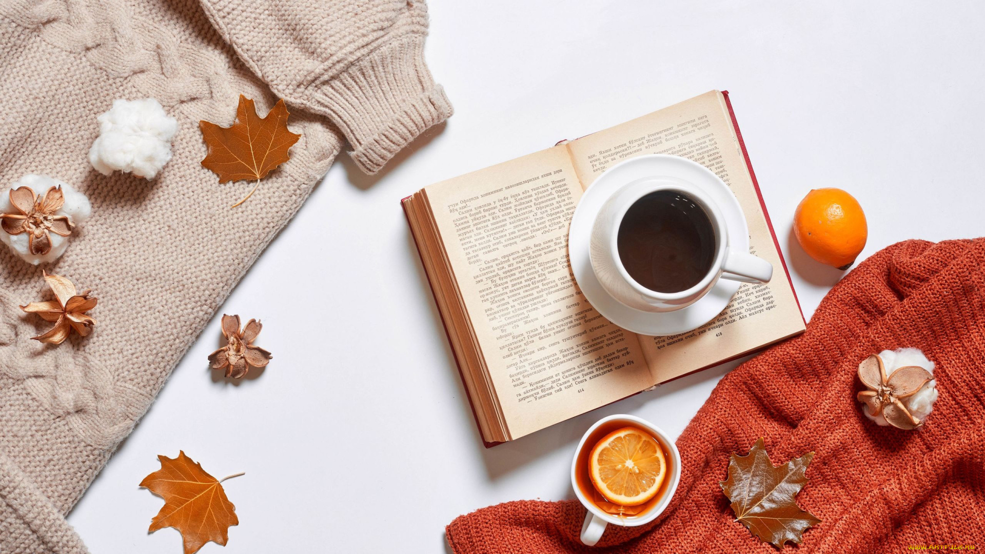 еда, кофе, , кофейные, зёрна, осень, листья, свитера