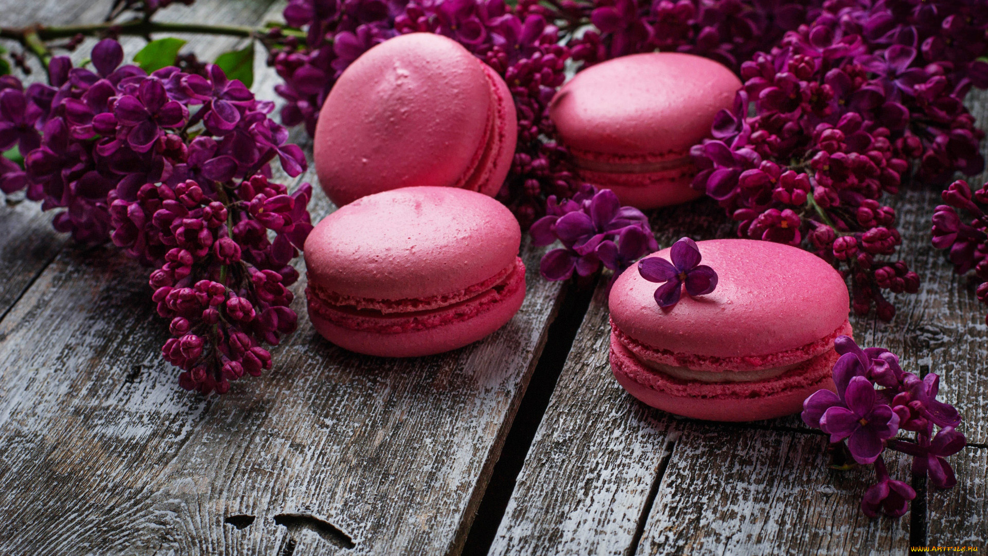 еда, макаруны, печенье, лакомство, сирень