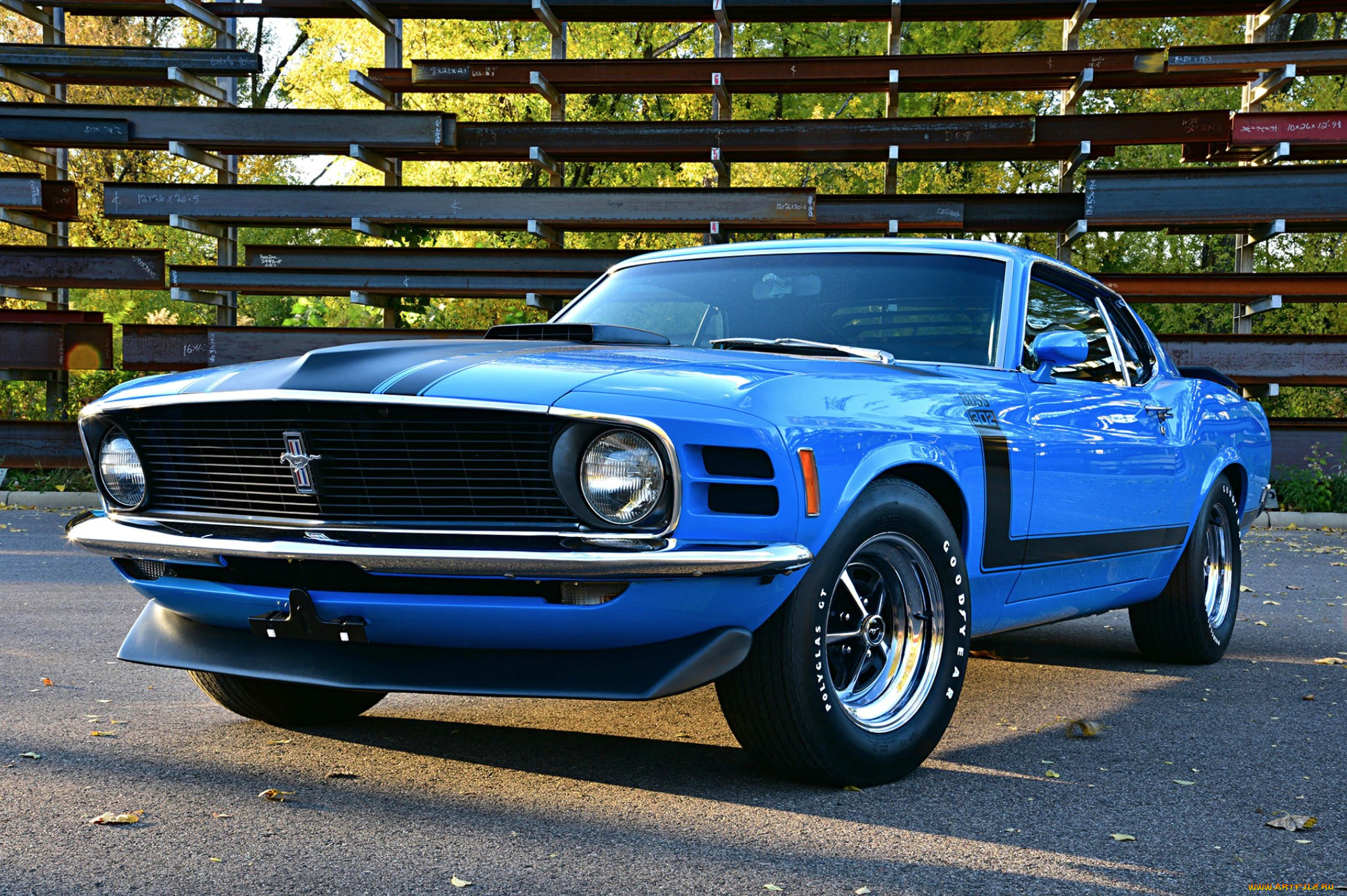 автомобили, mustang