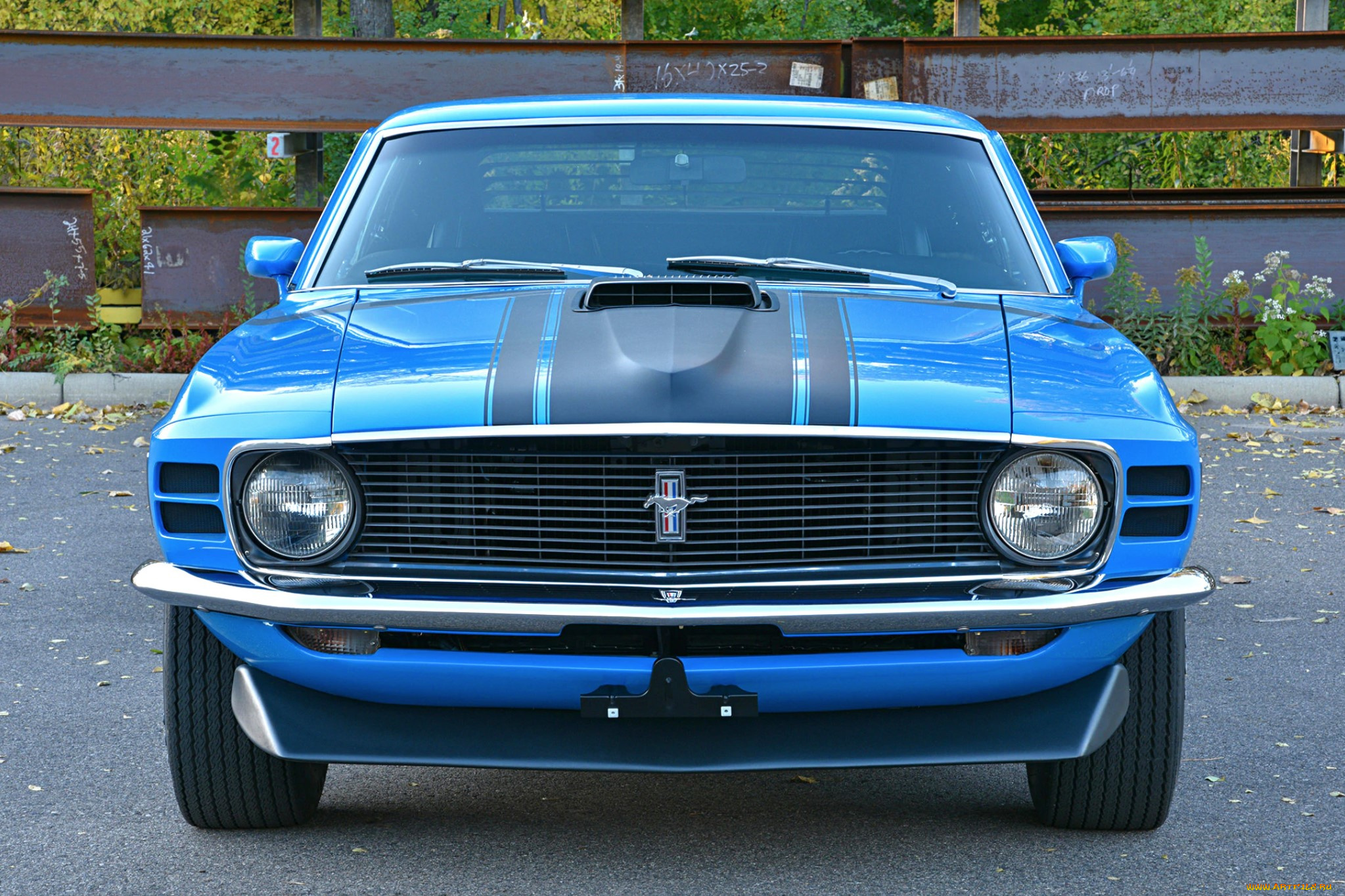 автомобили, mustang