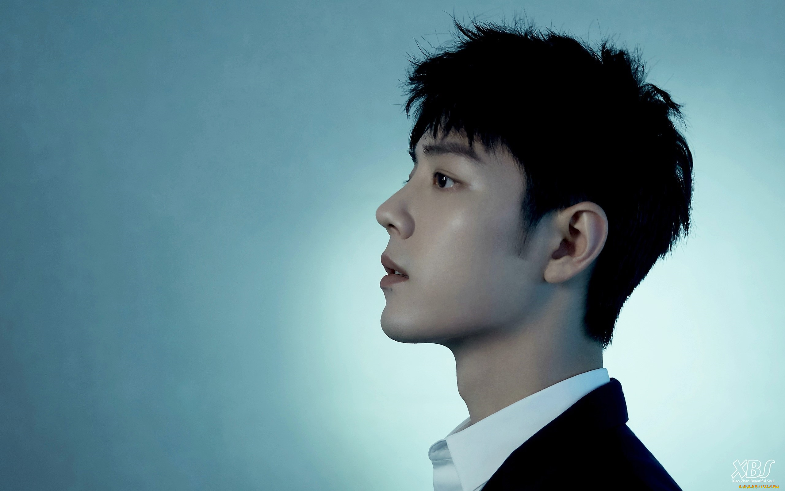 мужчины, xiao, zhan, актер, лицо