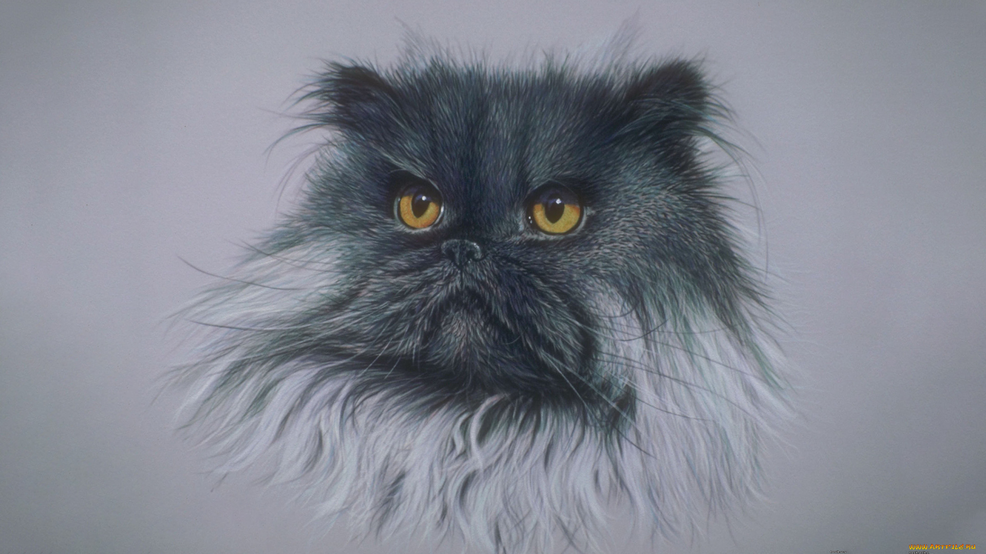 295870, рисованное, животные, , коты, морда, кота