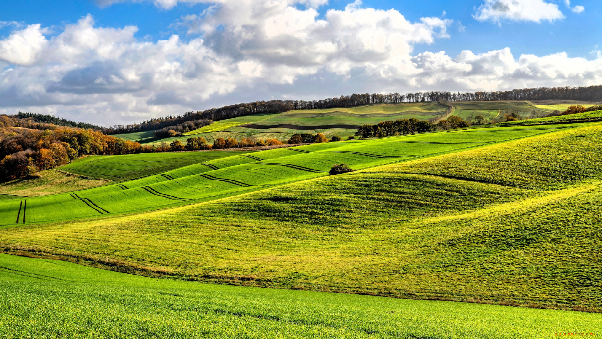 природа, поля, небо, облака, рощи, деревья, осень, холмы