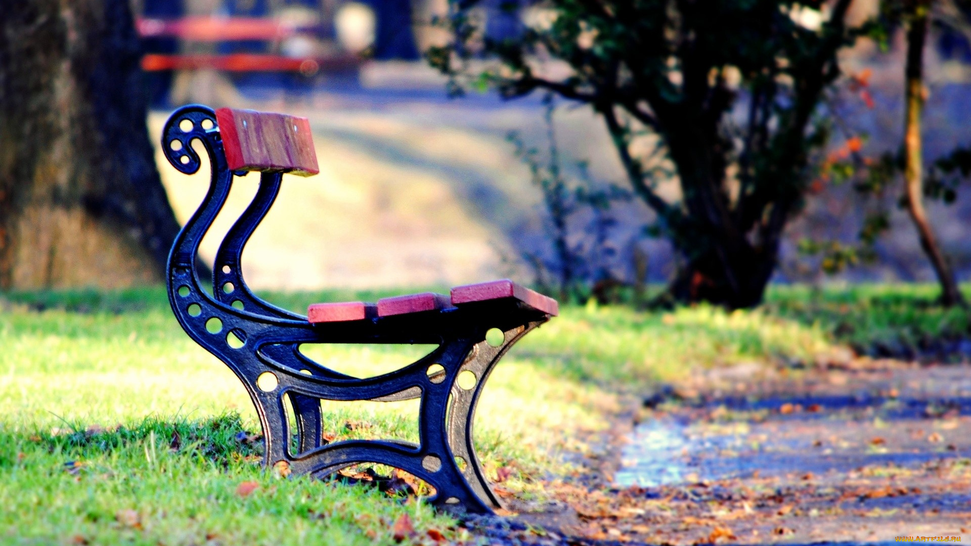 разное, предметы, быта, скамейка, трава, листья