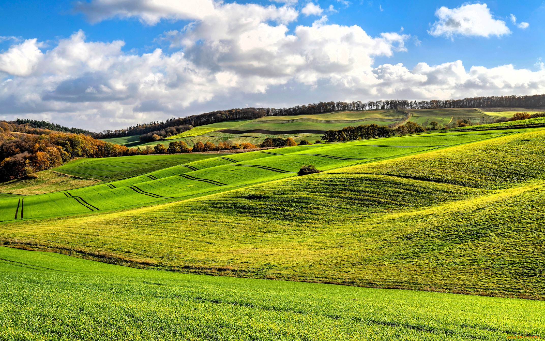 природа, поля, небо, облака, рощи, деревья, осень, холмы