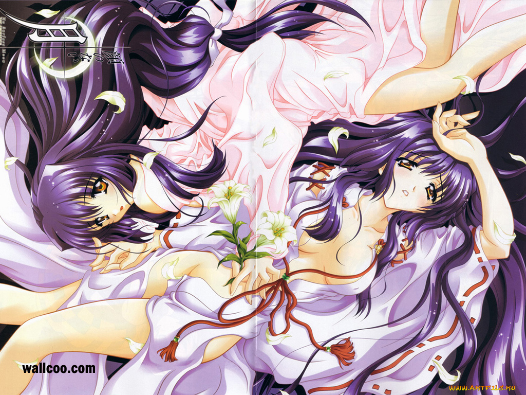 аниме, moonlight, lady