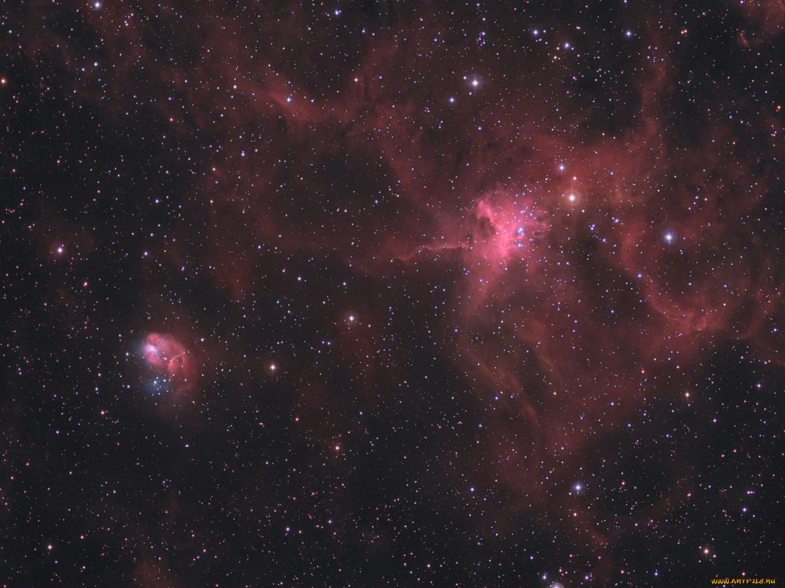 паук, муха, космос, галактики, туманности