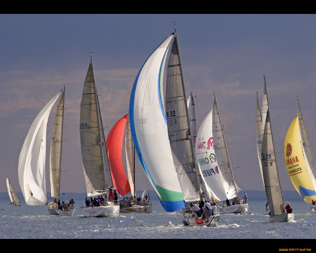 корабли, Яхты