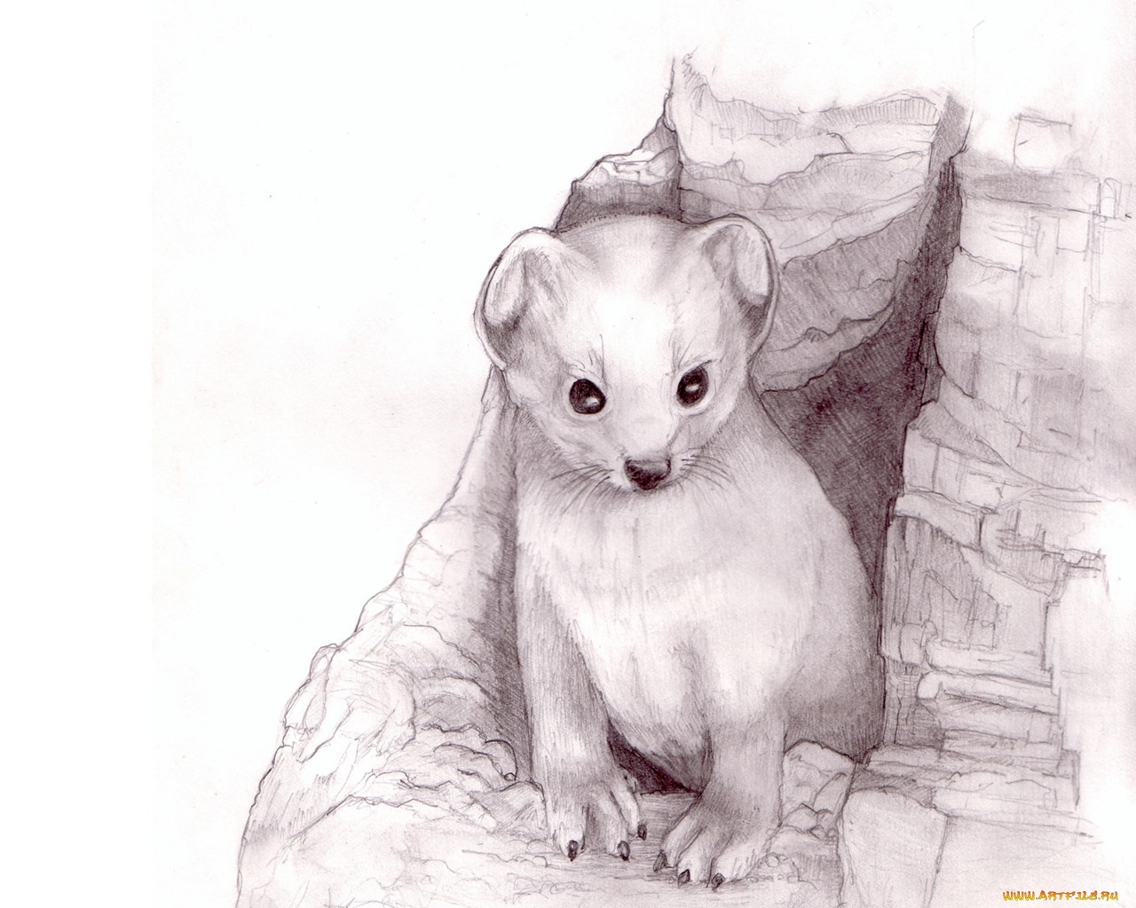 рисованные, животные