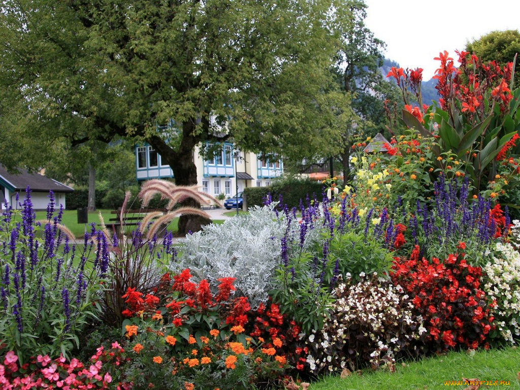 цветы, разные, вместе