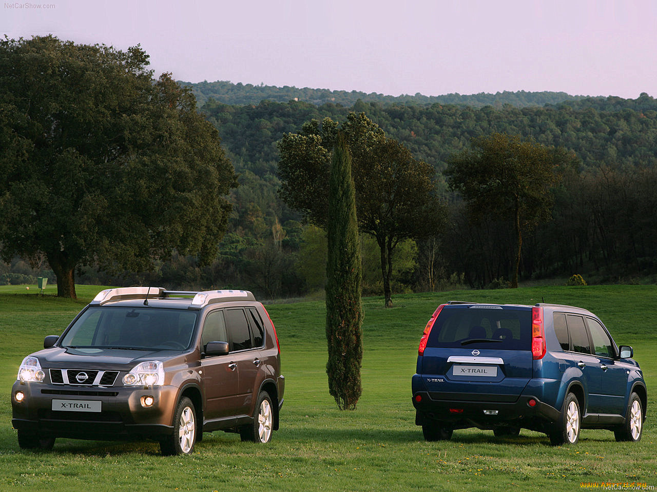 автомобили, nissan, datsun