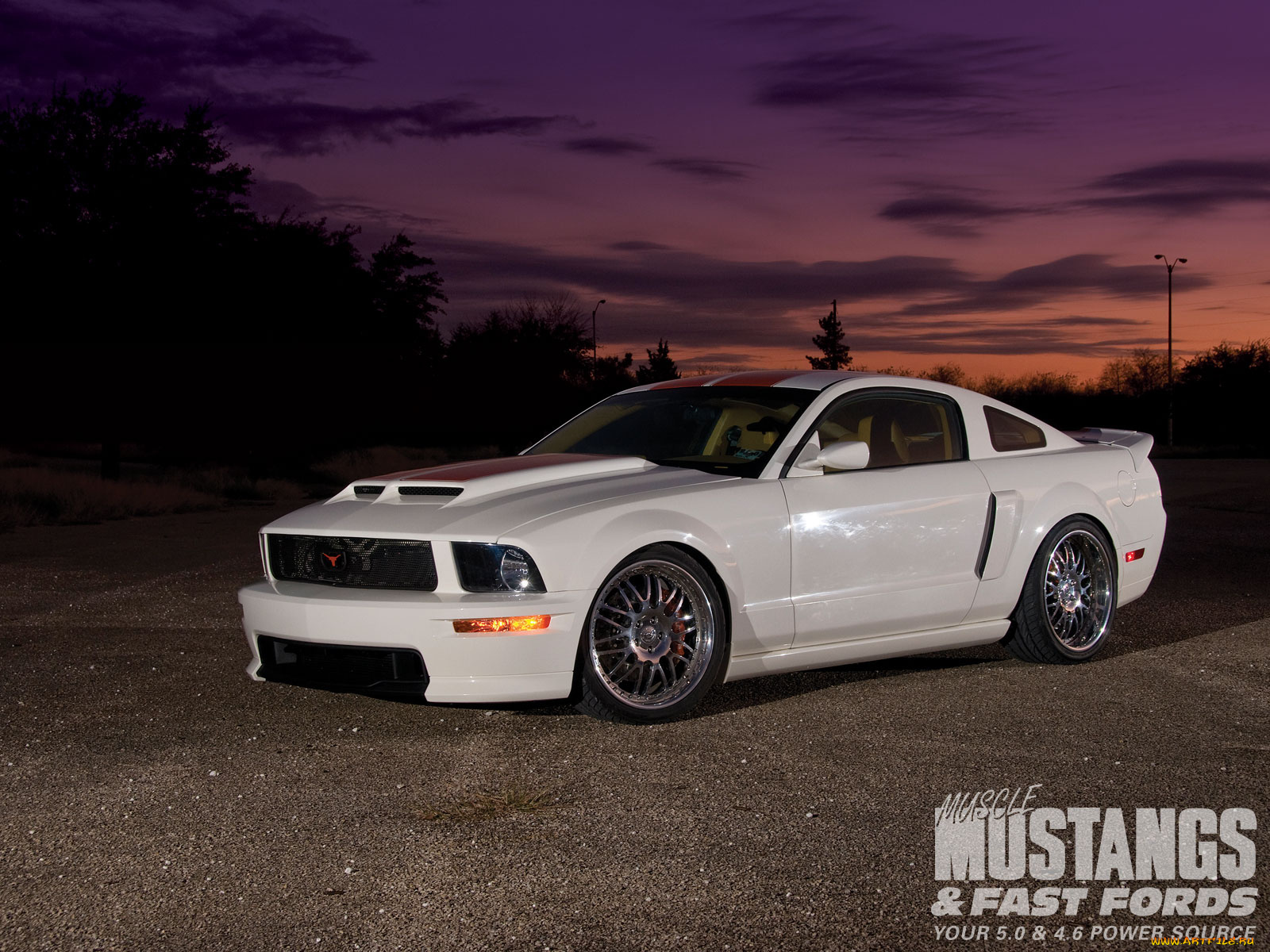 2007, shelby, gt, автомобили, mustang