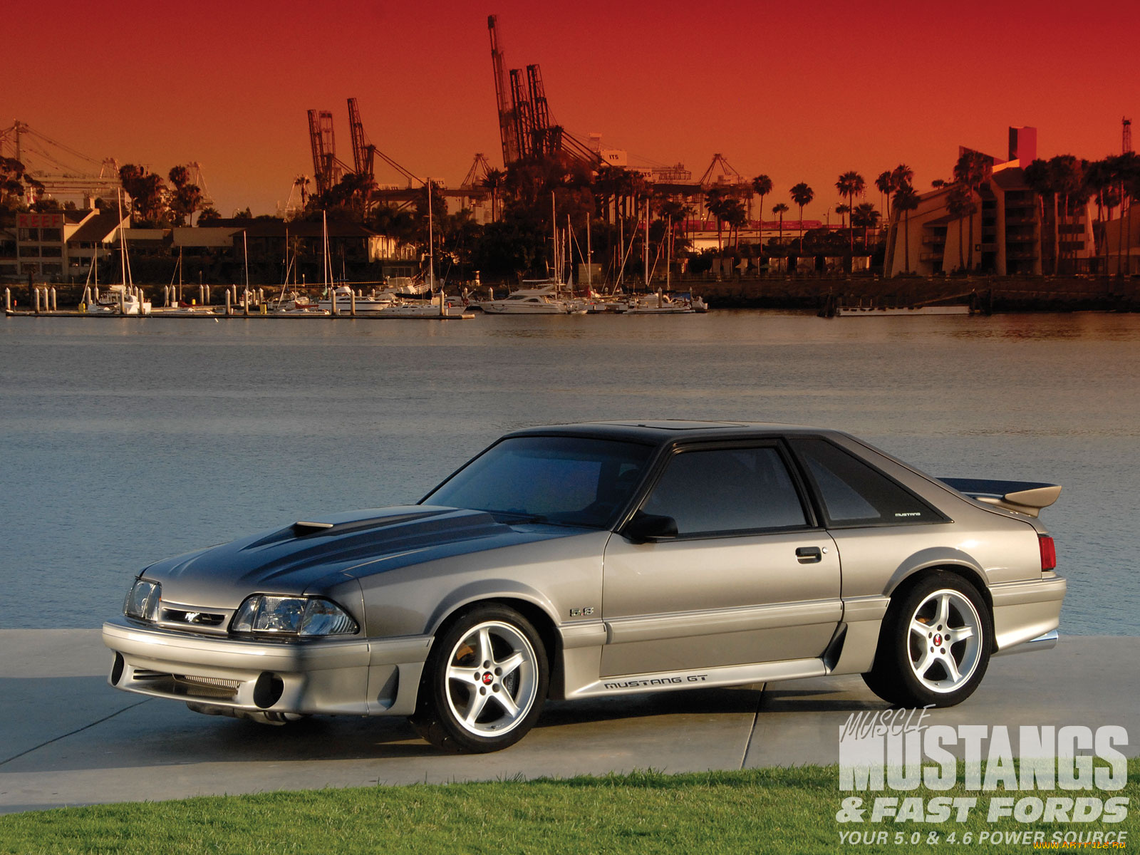 автомобили, mustang