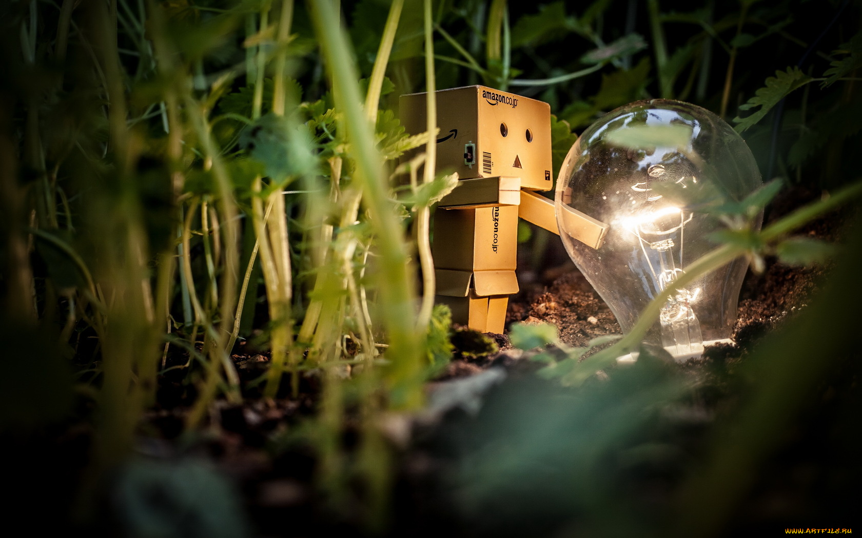 разное, данбо, danboard, amazon, коробка, лампочка