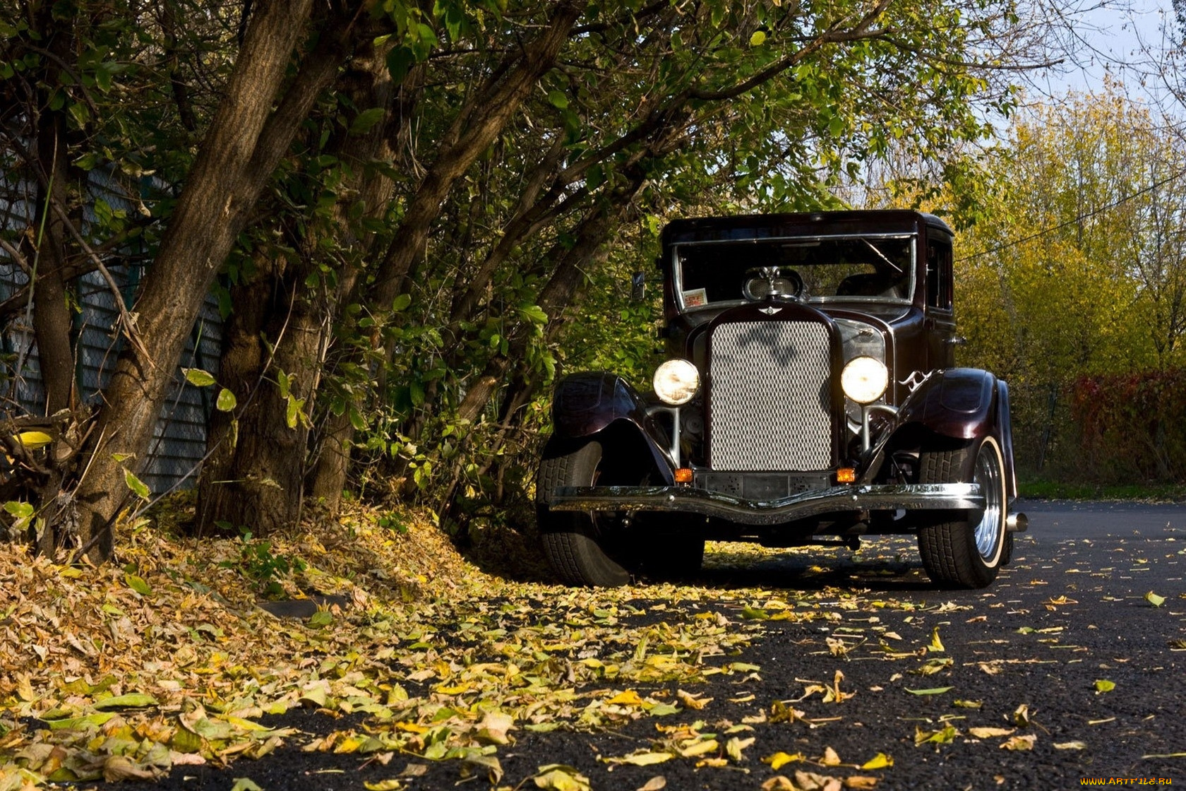 автомобили, классика, автомобиль, дорога, деревья, листья, небо