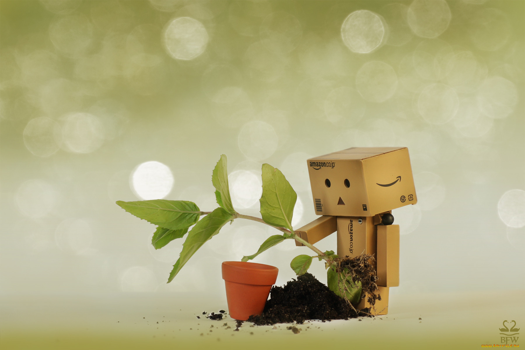 разное, данбо, danboard