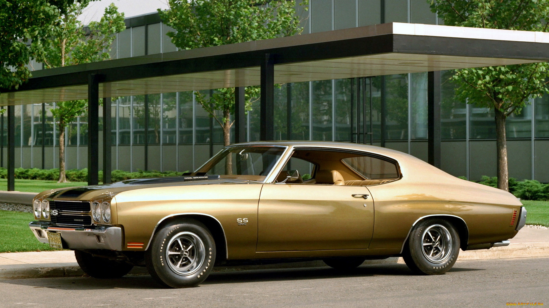 chevrolet, автомобили, автомобиль, скорость, красота, стиль