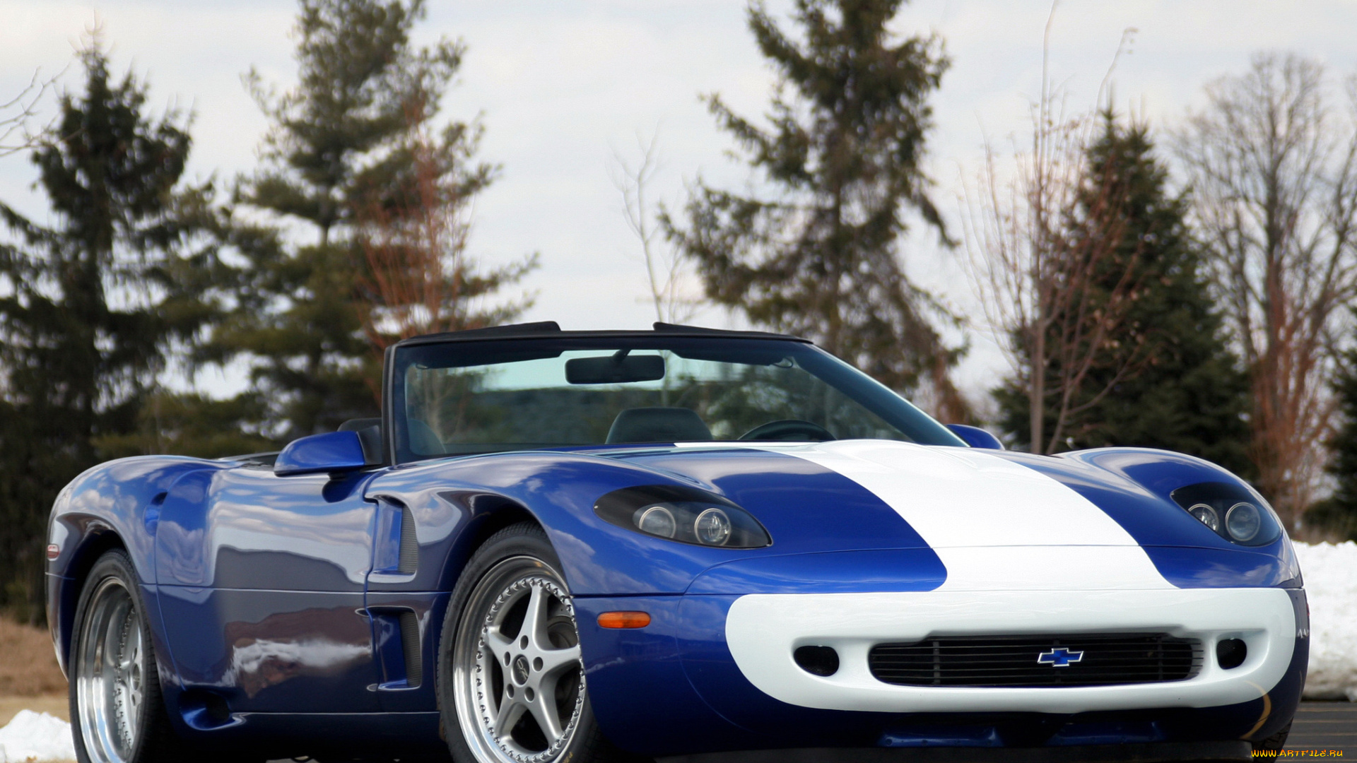 corvette, guldstrand, nassau, roadster, автомобили, chevrole