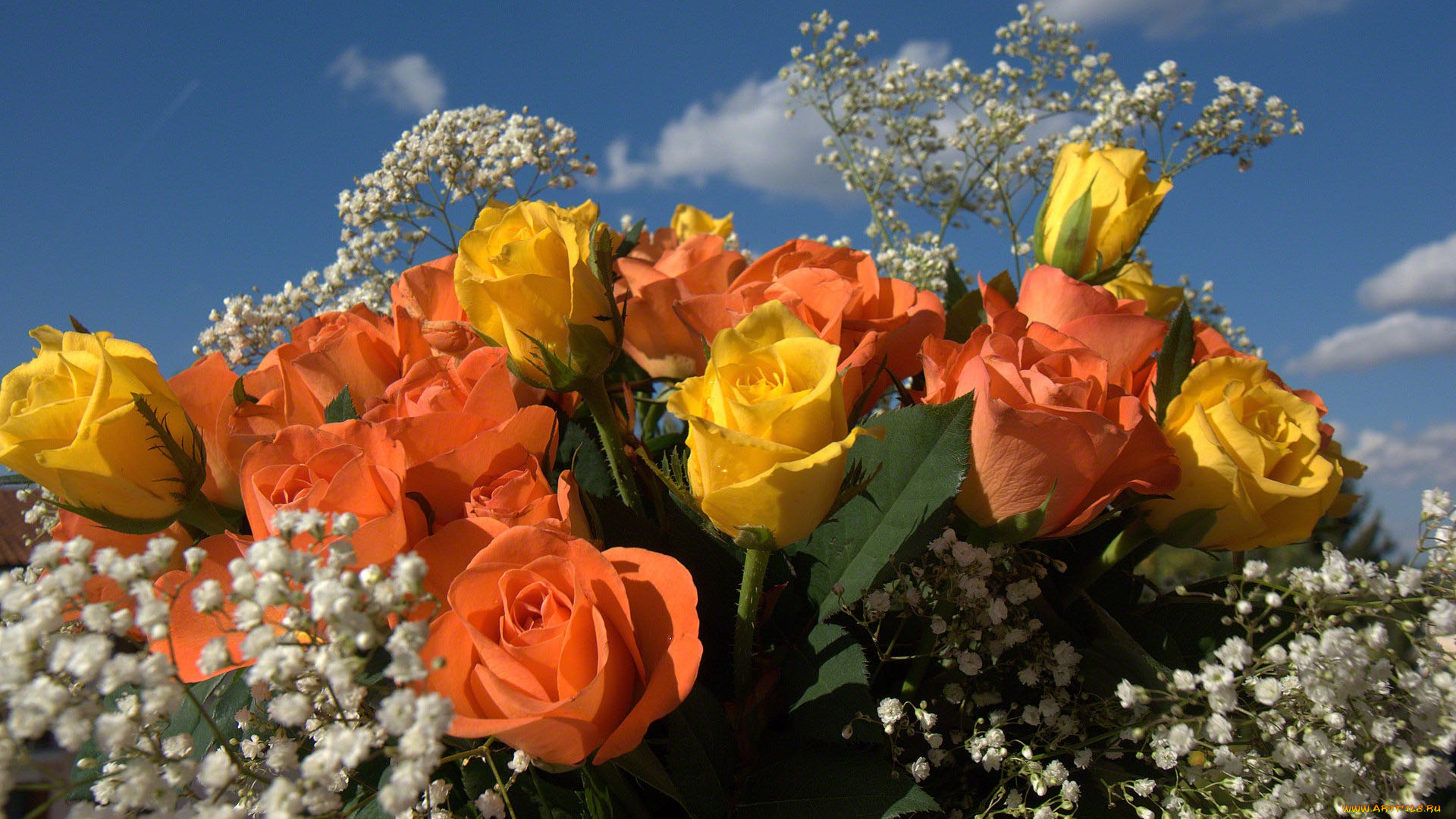 цветы, букеты, композиции, розы, букет
