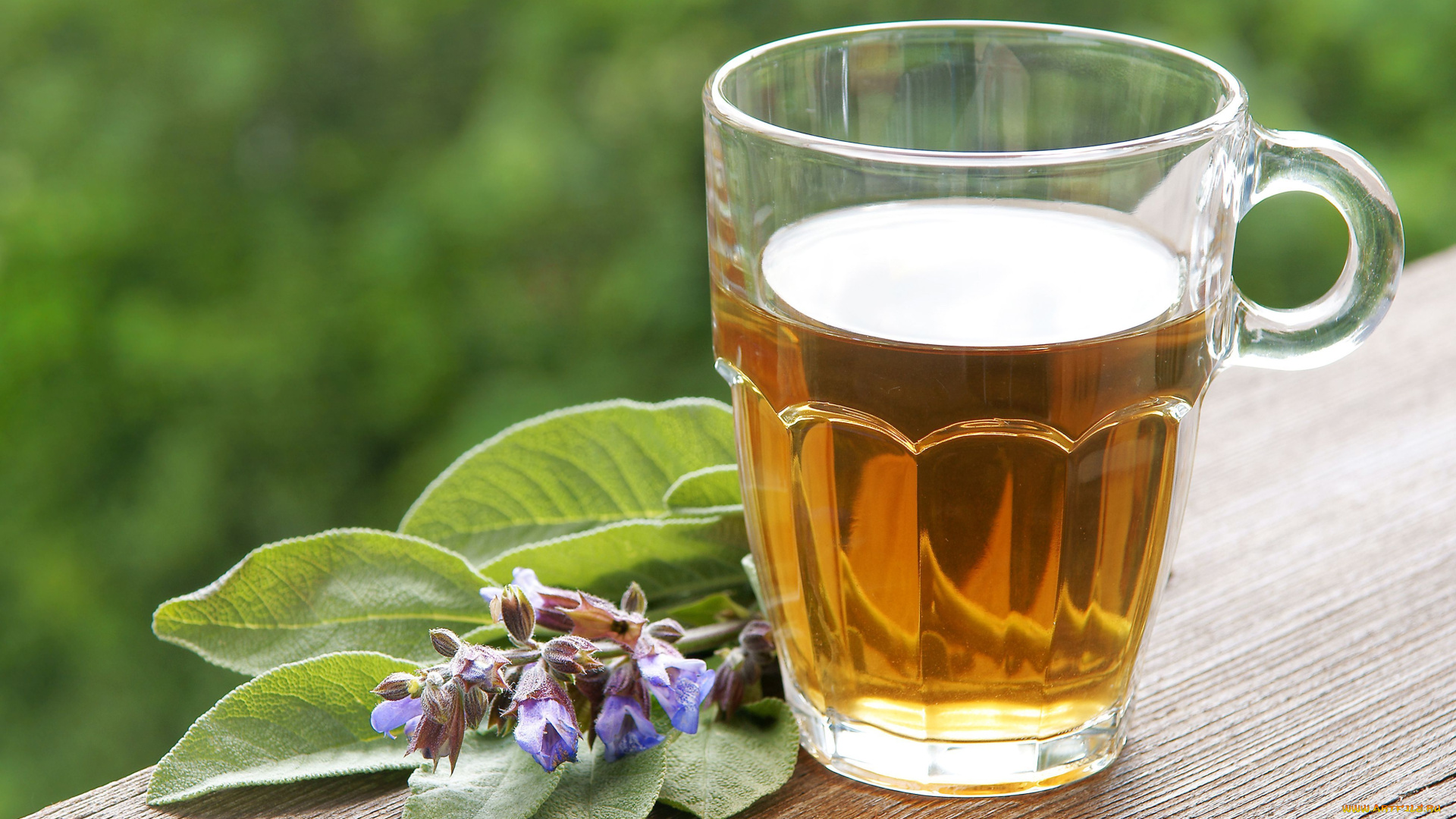 еда, напитки, Чай, кружка, листья, напиток, чай