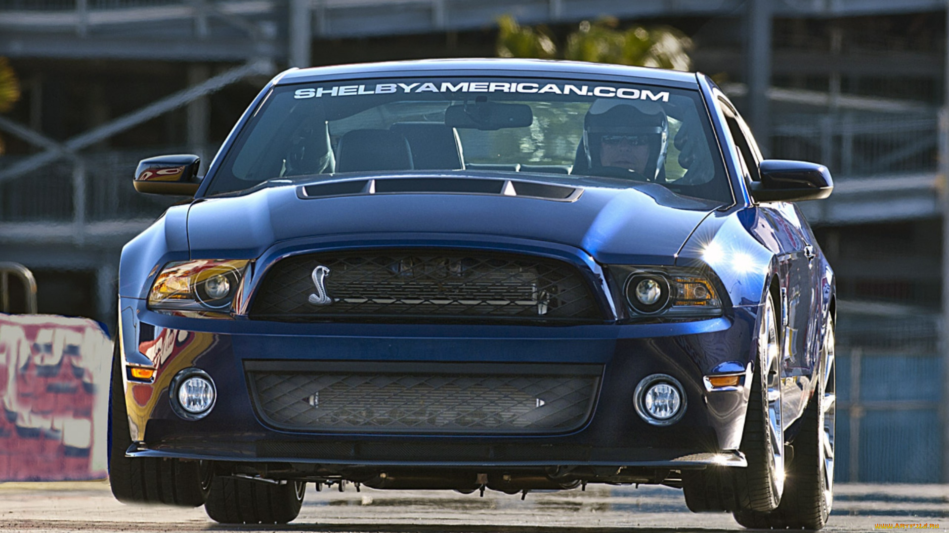 ford, mustang, shelby, 1000, автомобили