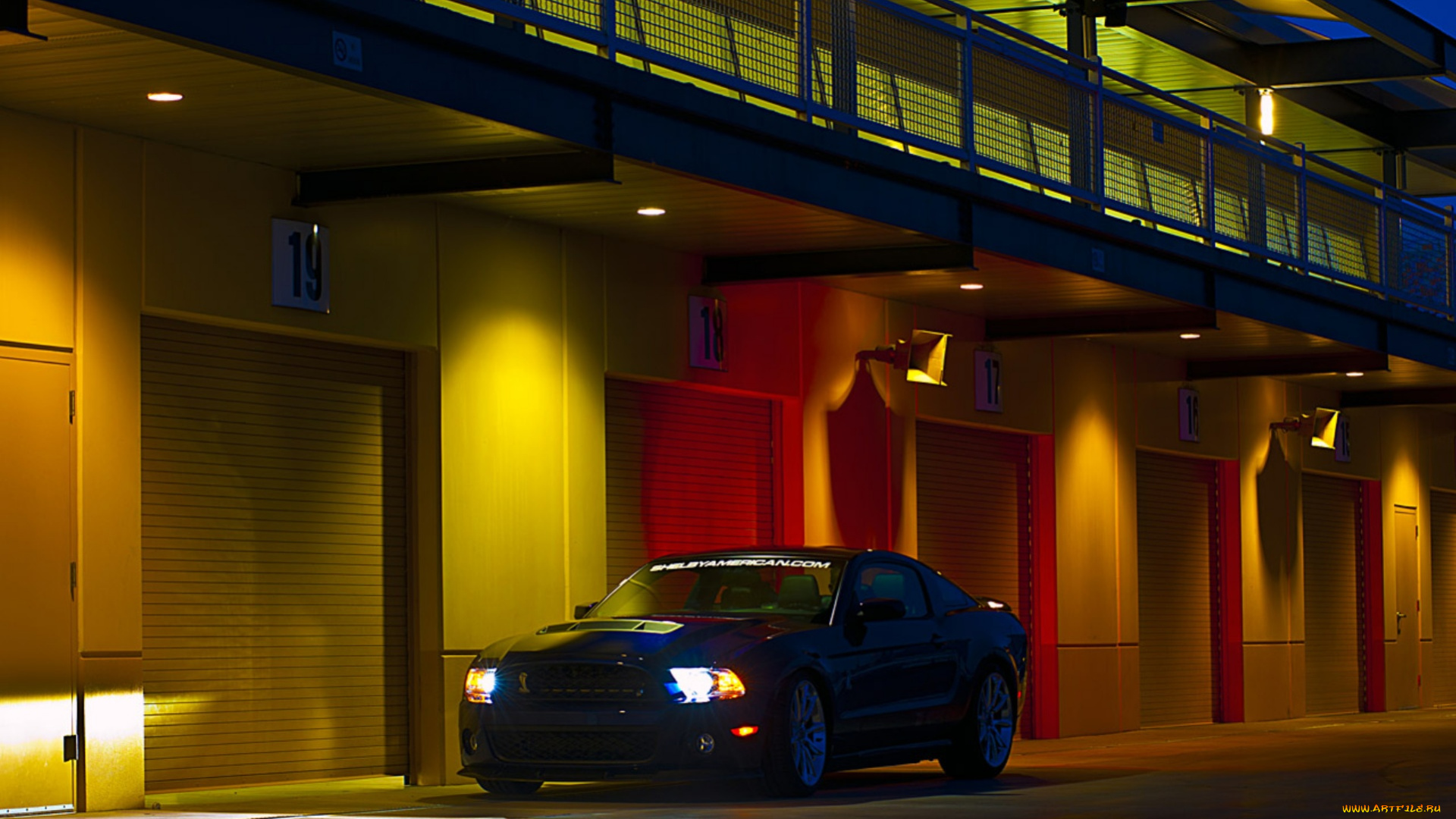 ford, mustang, shelby, 1000, автомобили