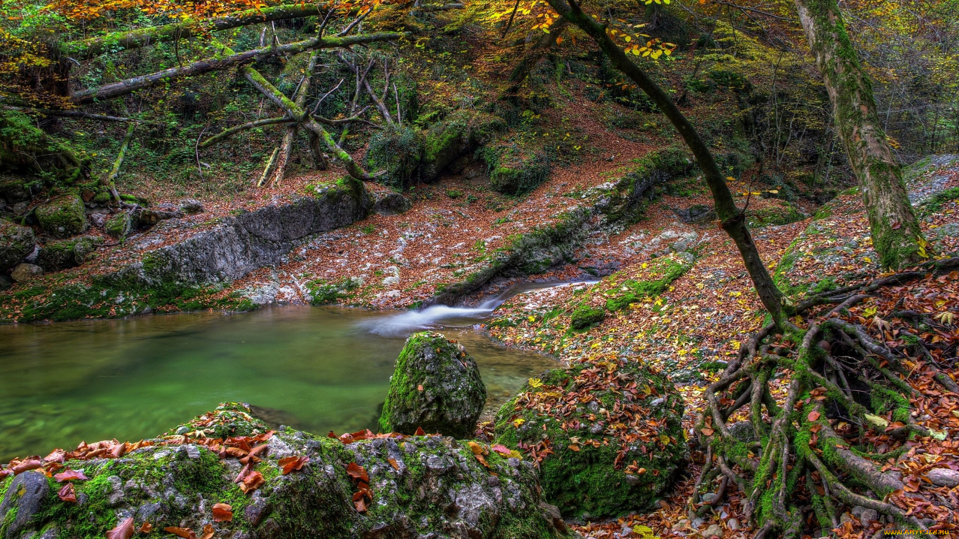 природа, лес, осень, ручей, камни, листья, деревья