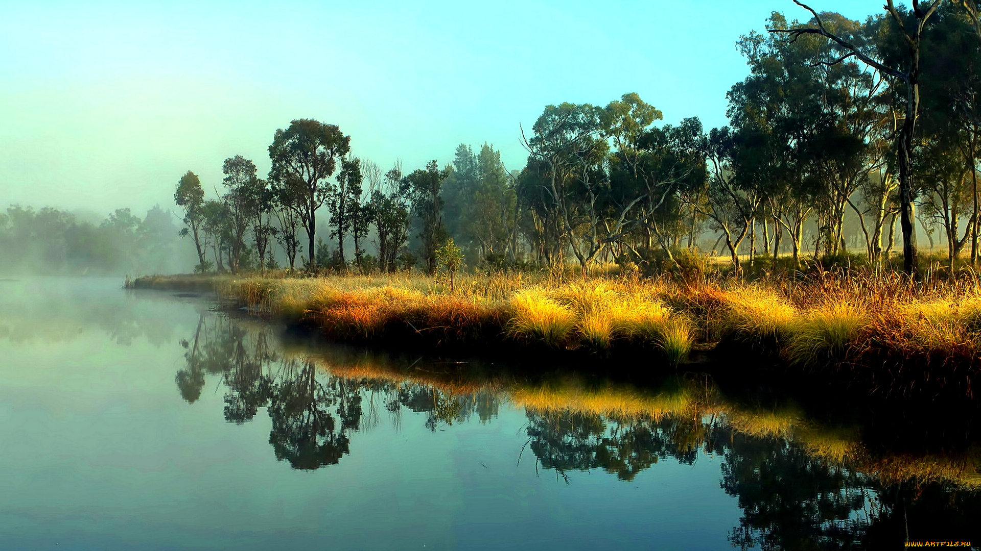 природа, реки, озера, трава, деревья, озеро, туман