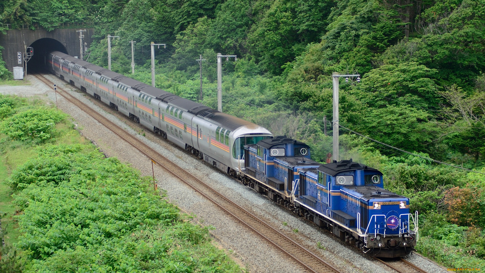 техника, поезда, лес, рельсы, поезд, тунель