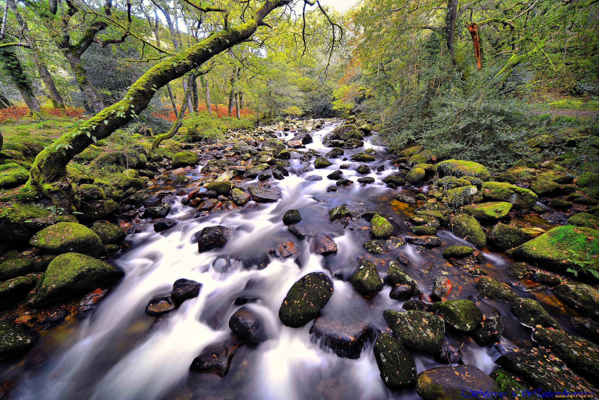 природа, реки, озера, лес, река, камни