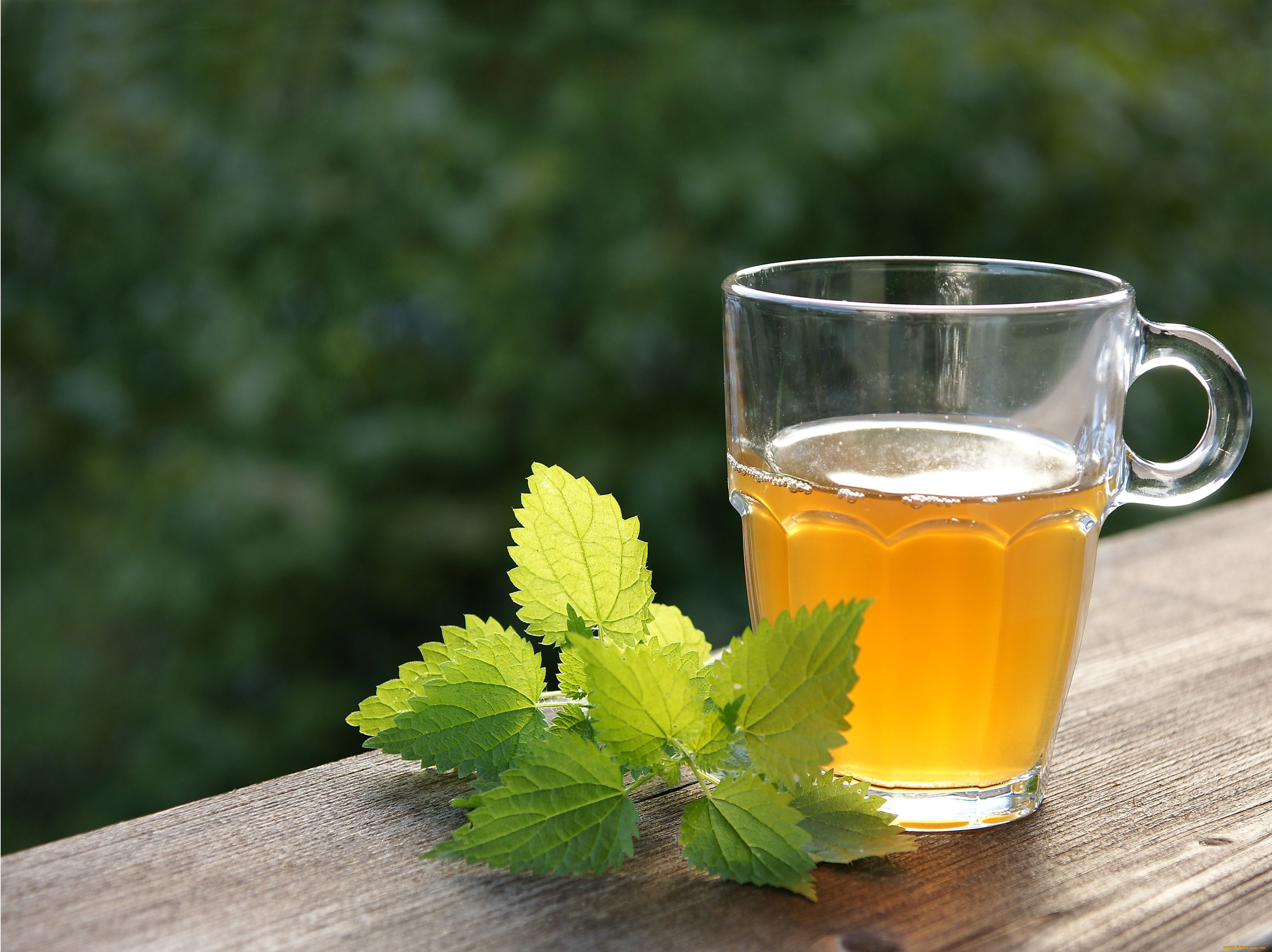 еда, напитки, Чай, кружка, чай, мята, стол